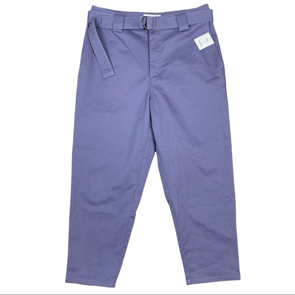 Urban Outfitters Belted Capri Pants Womens Size 30 Light Purple Boho Hipster NWT